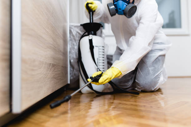 Best Pest Inspection Near Me  in Bostonia, CA