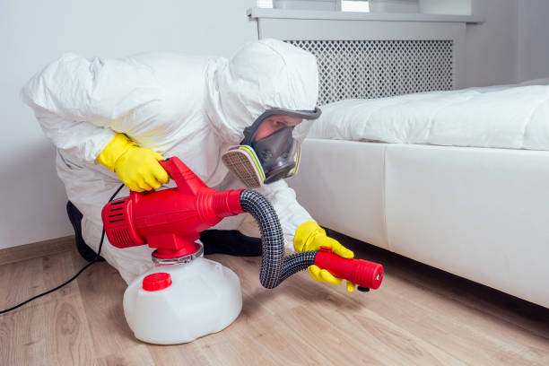 Pest Control Cost in Bostonia, CA