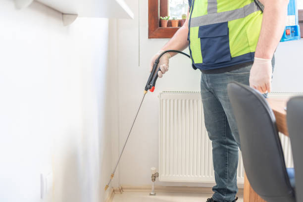 Best Mosquito Control Services  in Bostonia, CA